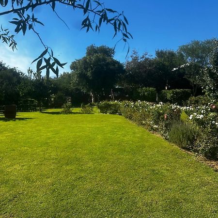 Le Reve Boutique Hotel Tulbagh Kültér fotó